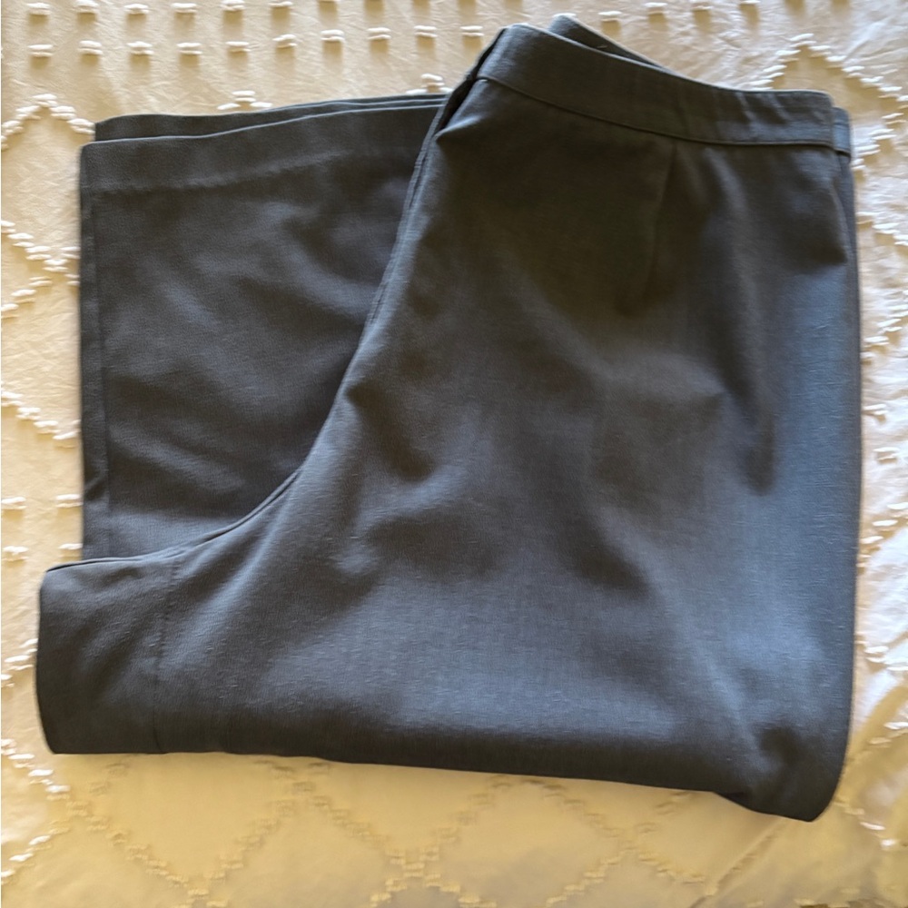Dressbarn Charcoal Gray Trousers 20W
